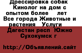 Дрессировка собак (Кинолог на дом с опытом более 10 лет) - Все города Животные и растения » Услуги   . Дагестан респ.,Южно-Сухокумск г.